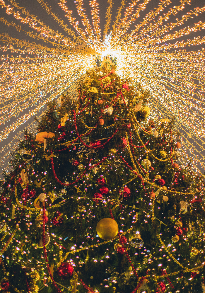 Luces navideñas para las mejores fotogrfias en brilla fest 2023